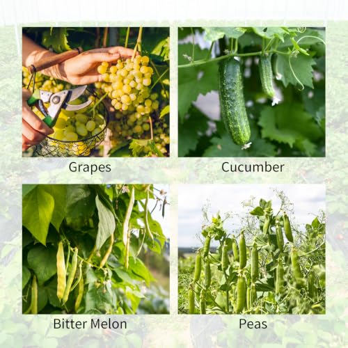 Cucumber Trellis 2 Pack (Green Thickened / 59.05" H)