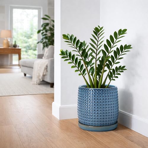 Beaded Ceramic Pot with Saucer (10.2 Inch / Ocean Teal)