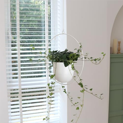 Hanging Planter Indoor Modern Boho Plant Pot Metal Wall and Ceiling Plant Holder
