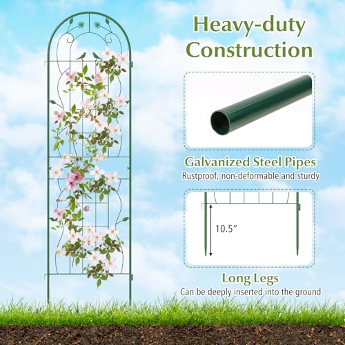 4 Pack Garden Trellis (71"x20" (4 Pack) / Green)