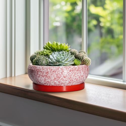 Bonsai Pots 10 Inch (10 Inch / Red-white)
