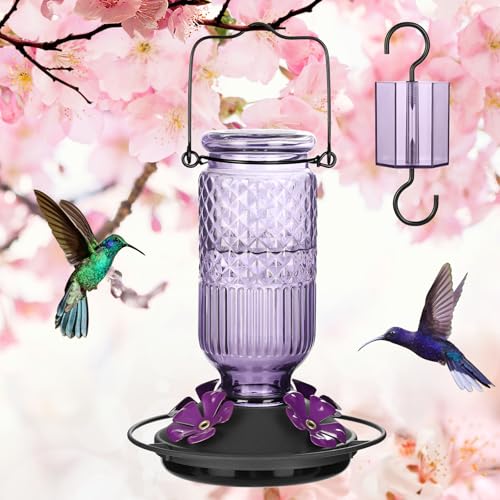 Glass Hummingbird Feeder for Outdoors Hanging (Purple)