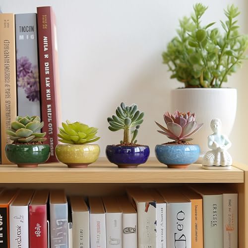 Mini Succulent Pots (6 Count)