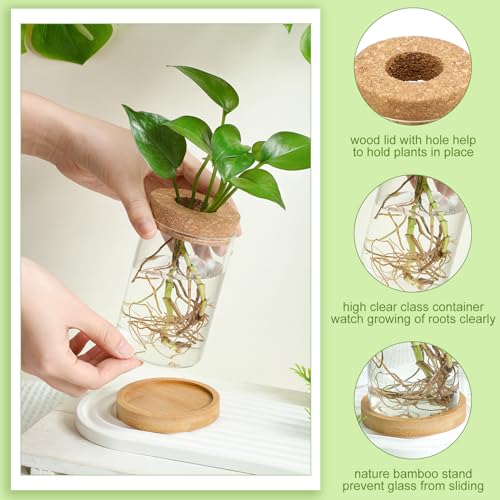 4 Pcs Plants Propagation Stations vases Glass Planters with Wooden Lid and Bamboo Stand for Hydroponic Plants Gardening Gifts for Women Mom Home Office Tabletop Decoration (4 Count)