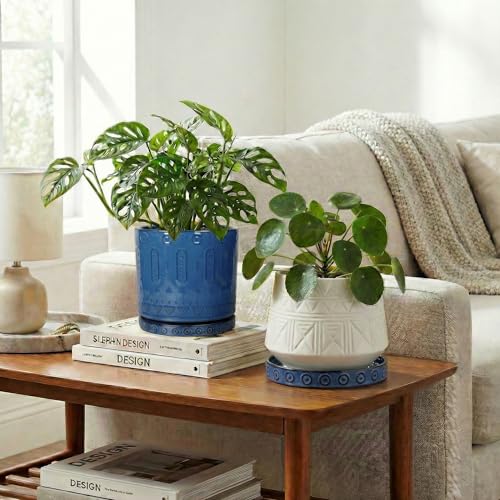 2 Pack 5.6 Inch Flower Pot Saucers (5.6 Inch (2 Pack) / Blue)