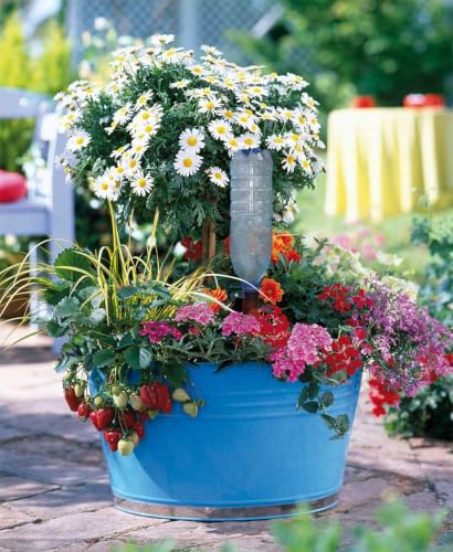 Plant Watering Device (6 Pack)