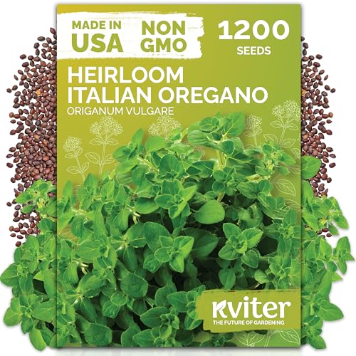 1 200 Italian Oregano Heirloom Herb Seeds for Planting