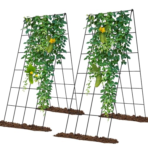 Cucumber Trellis 2 Pack (Steel Black / 39.4" H)