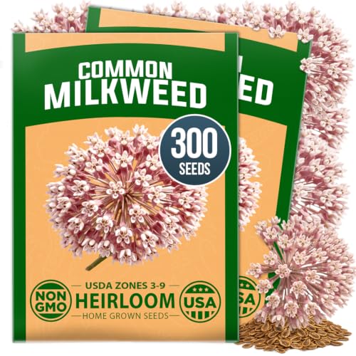 Common Milkweed Seeds
