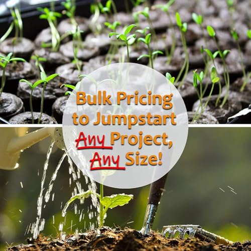 Kitazawa Seed Co Thai Ornamental Hot Pepper Seeds 1 Oz ~12