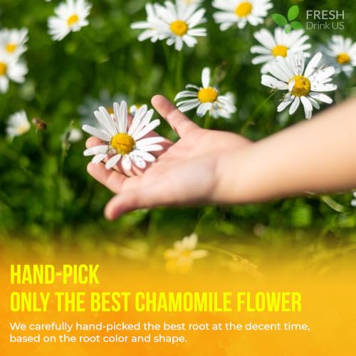 135 Chamomile Tea Bags (135 Tea Bags)