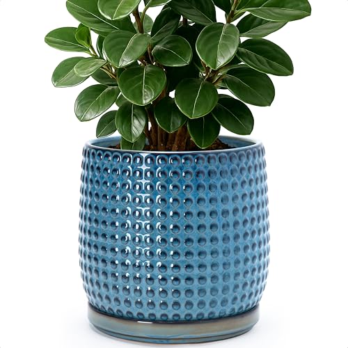 Beaded Ceramic Pot with Saucer (8.8 Inch / Ocean Teal)