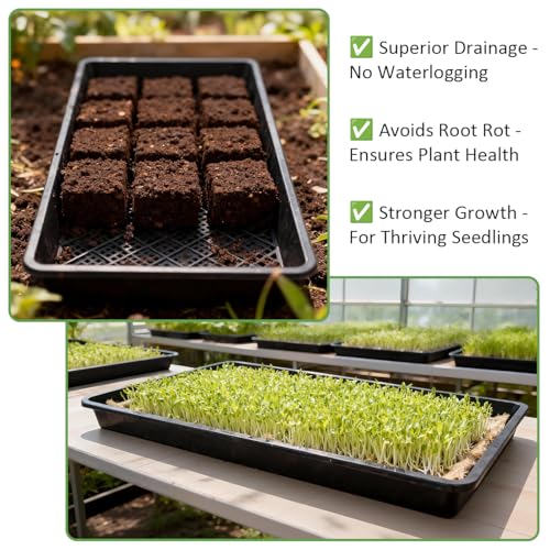 10 Pack 1020 Mesh Trays (20L x 10W x 2.3 H)