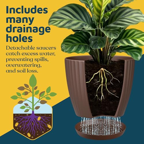Brown 6 Inch Plant Pots with Drainage & Saucers 24 Pack (24 Count)