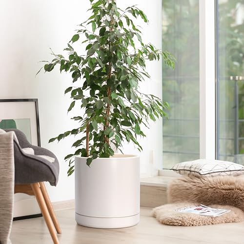 10 Inch Ceramic Planter Pot