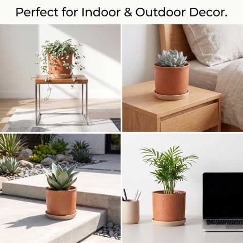 5.8 Inch Ceramic Plant Pot with Drainage Hole & Separate Saucer (Terracotta / 6 inch)