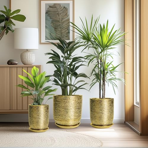 Ceramic Flower Pot for Indoor Plants