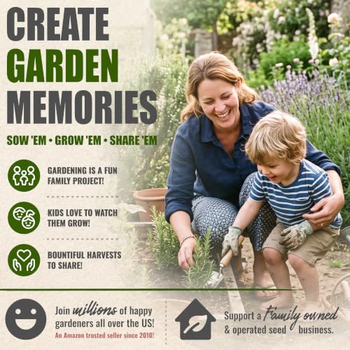 Rosemary Seeds to Plant Heirloom Non (2 Packs)