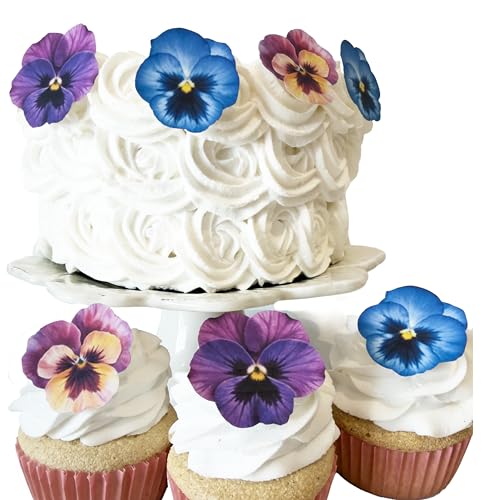 Sugar Robot Blue (Blue / Flower)