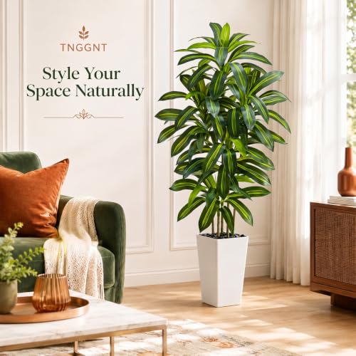 Artificial Dracaena Tree (Dark Green – White Pot / 6FT)