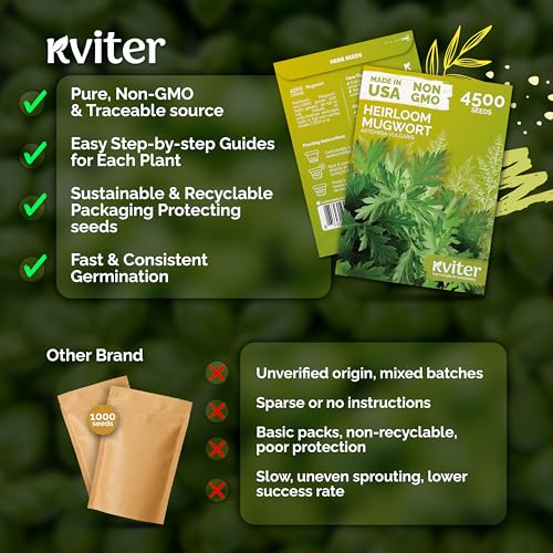 4 500 Mugwort Heirloom Herb Seeds for Planting