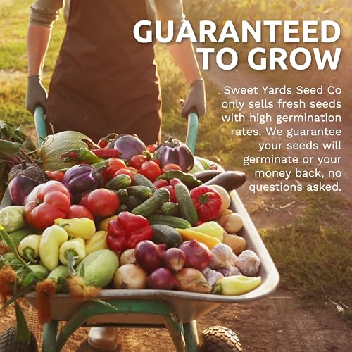 Organic Herb Seeds Variety Pack (5 Varieties - Essential Pack)