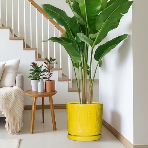 Plant Drip Trays (11.4 Inch / Yellow)