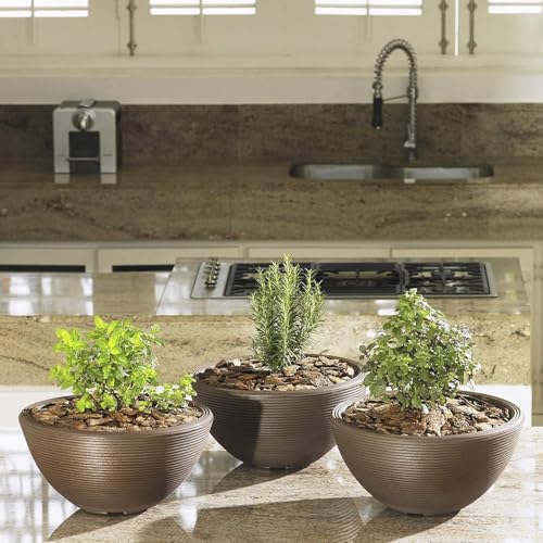 Delano Bowl Planter