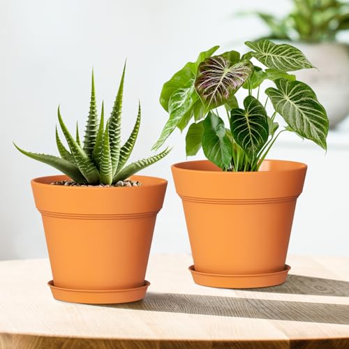 6 Inch Thick Plastic Plant Pots with Drainage Holes and Trays (6 Count)