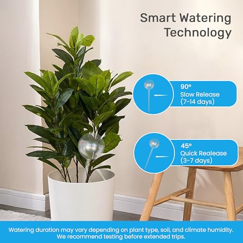 Plant Watering Globes 4 Pack (4pk 200ml Clear Rainbow)