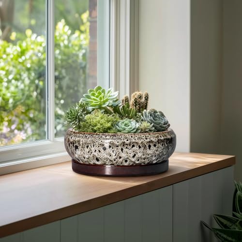 Bonsai Planter 13 Inch (13 Inch / Leopard Brown-white)