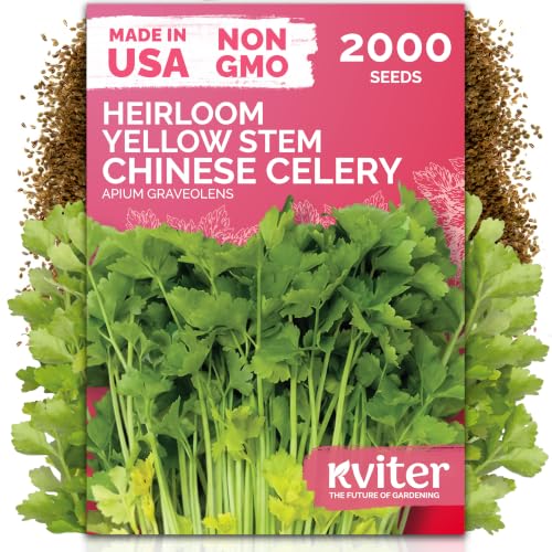 2 000 Chinese Yellow Stem Celery Heirloom Vegetable Seeds