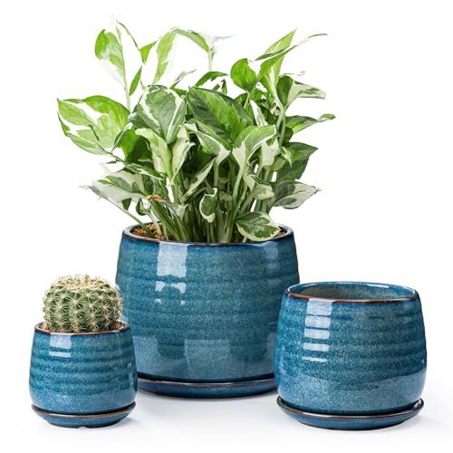 Ceramic Plant Pots with Drainage Holes and Saucers (3 Count)