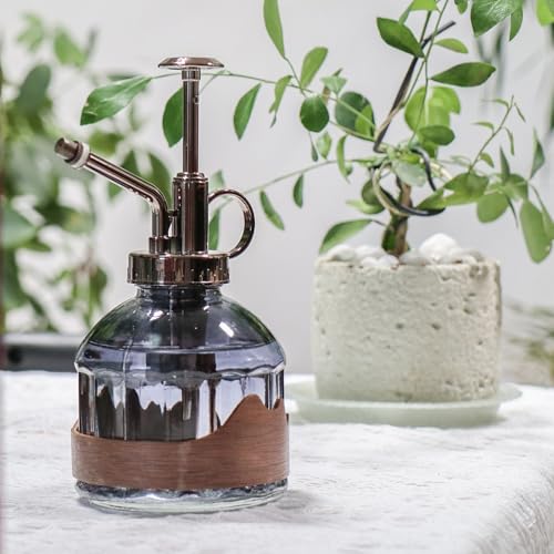 Plant Mister Spray Bottle Vintage Glass Fine Mist Spritzer 6.7OZ (D-Distant Hill)