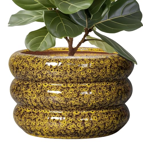 Ceramic Pots for Plants (13 Inch / Leopard Print Yellow)
