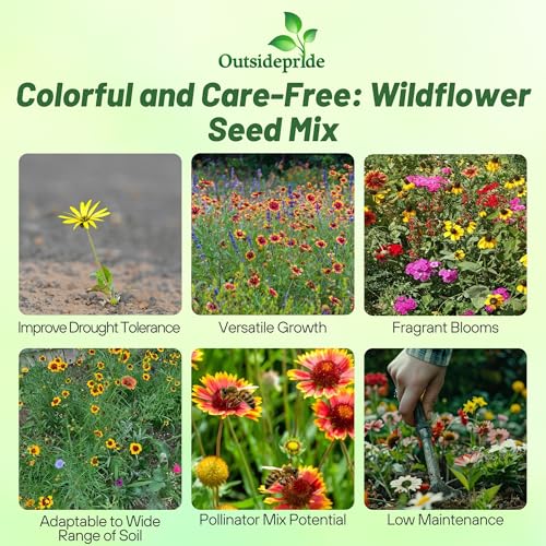 Southeast Wildflower Seed Mix (4 Ounce)