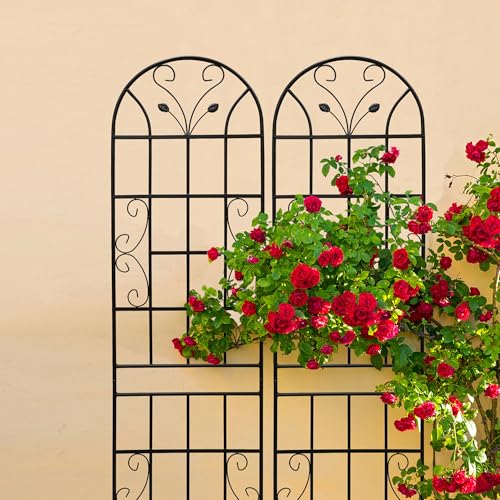 2 Pack Metal Garden Trellis for Climbing Plants