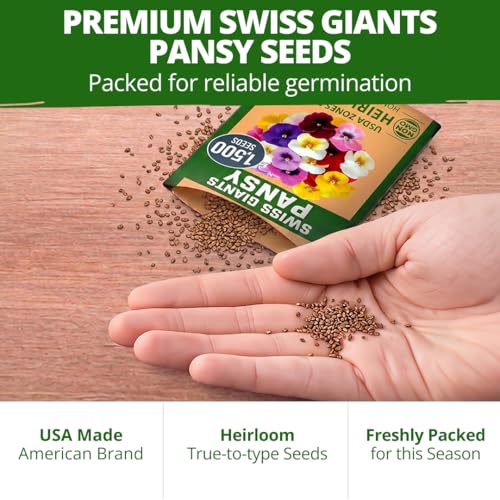 Swiss Giant Pansy Seeds