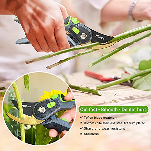 Garden Shears & Clippers