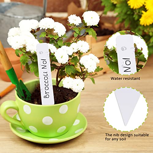 Plant Labels 4 Inch 500Pcs Plastic Plant Name Tags for Seedlings (500 Count)