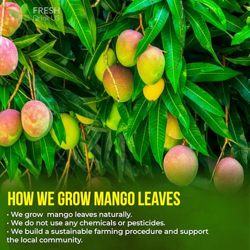 Premium 8 oz Dried Mango Leaves (8oz)
