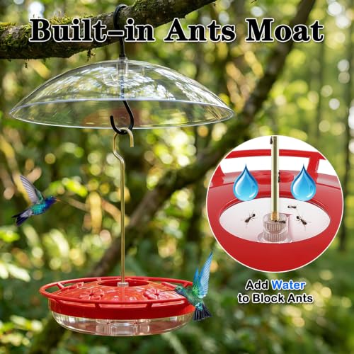 Hummingbird Feeder with Rainproof Dome (Red w/Rain Dome)