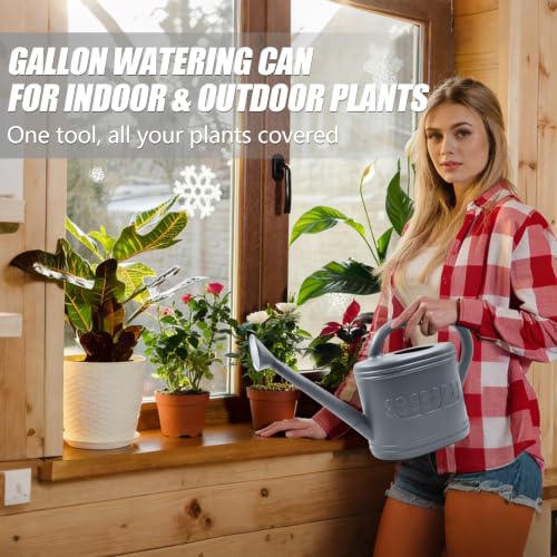 1 Gallon Watering Can (Gray / 1 Gallon)