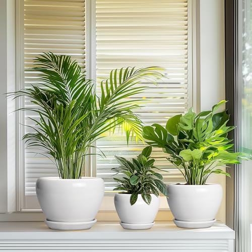 10+8+6 Inch Ceramic Planter (10+8+6 Inch / White)