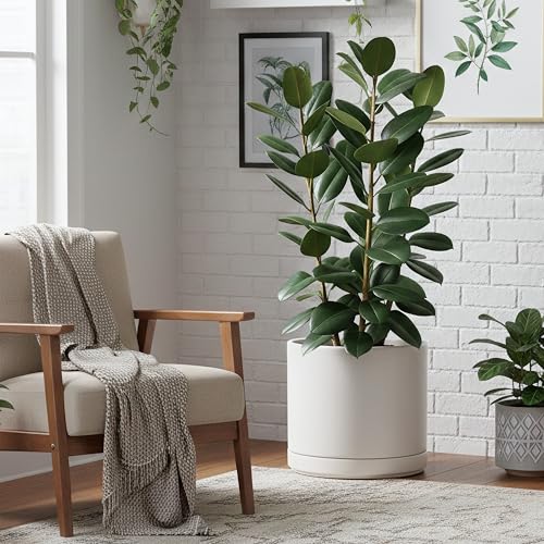 16 Inch Ceramic Planter Pot (XXX-Large / White)