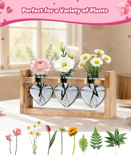 Plant Terrarium with Wooden Stand (Light Gray)