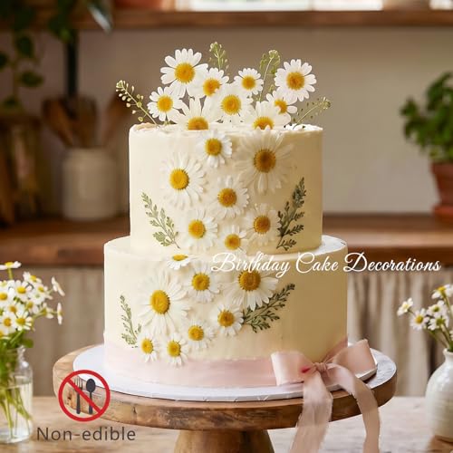 48 Pcs Natural Dried Pressed Daisy Flowers for Cake Decorating (Daisy)