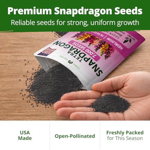 Tetra Snapdragon 7000 Flower Seeds Antirrhinum majus