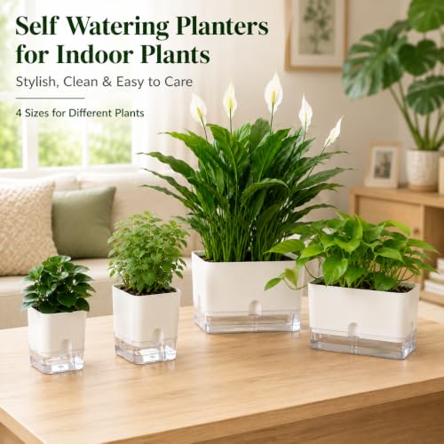 Self Watering Plant Pots for Indoor Plants 7 inch (8 Count)