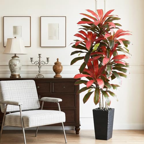 Artificial Dracaena Tree (Burgundy – Black Pot / 5FT)